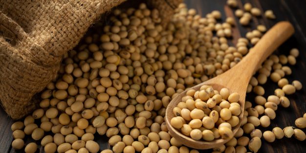 Soia: pro şi contra Soia: pro şi contra