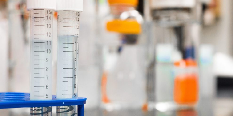 biology-blur-blurred-background-954585