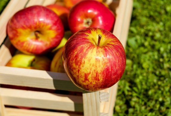 apple-1589874_1920